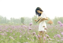 成都慢时光：一壶茶香，养生休闲的悠然指南